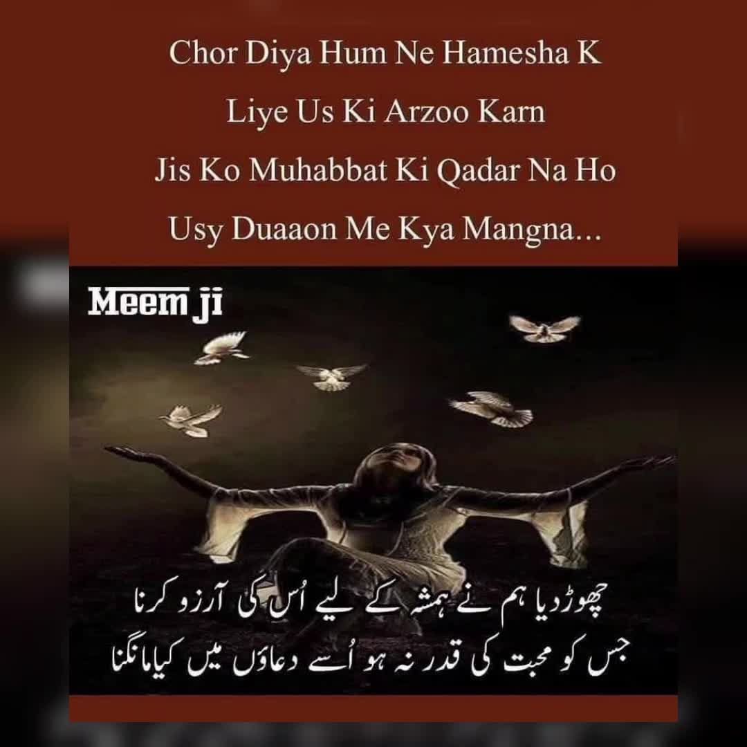 @🌹MeEm jEe SHeIkH میم جی 🌹Uk
