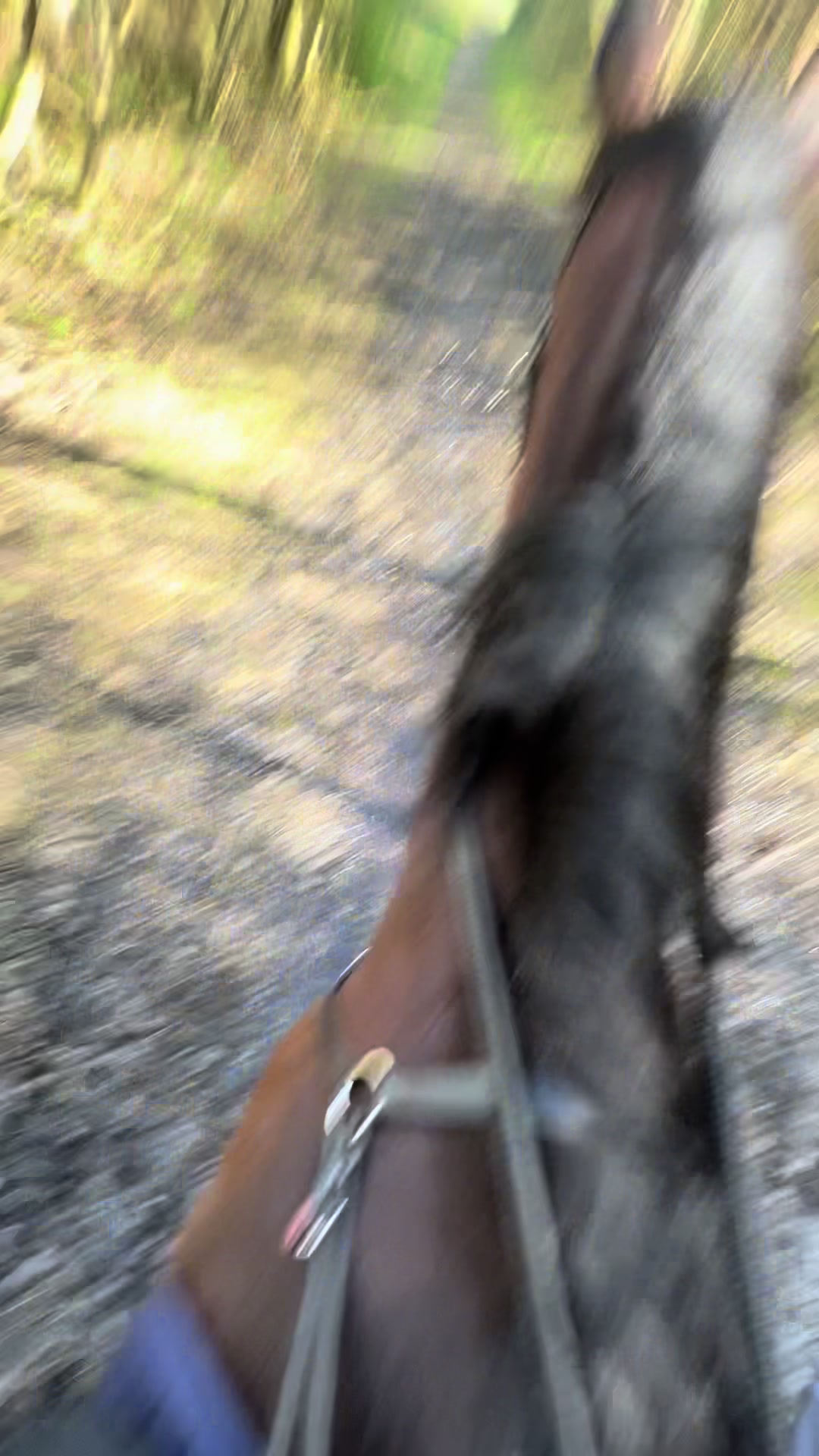 @Ffion & Ronnie 🐴