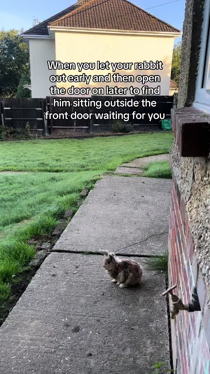 @Kerry and the chickens