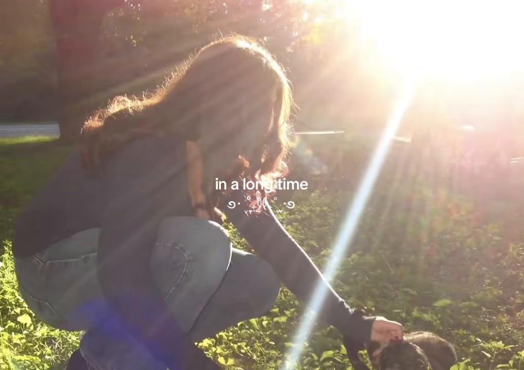 @eloïse ౨ৎ