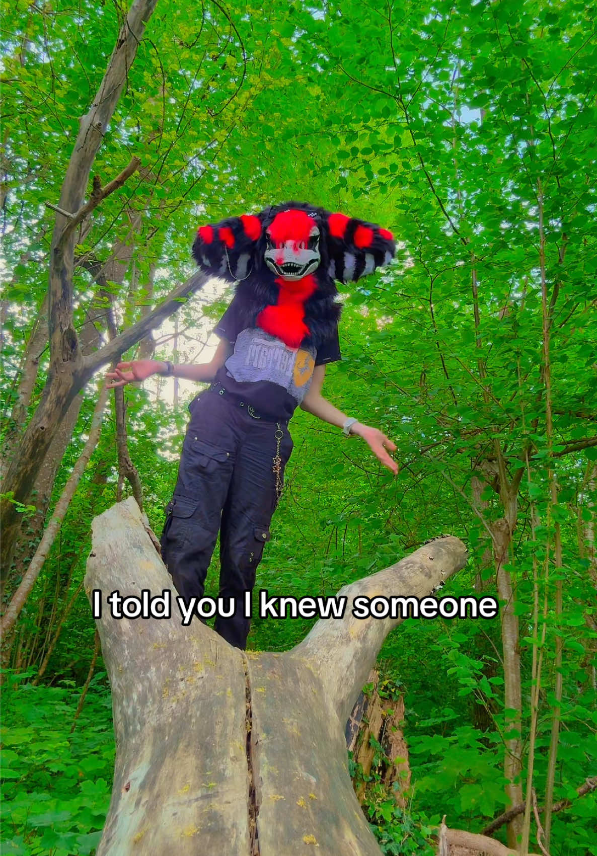 @🧋 ☆ Ｄｅｘｔｅｒ (𝒴𝓊𝓃𝒶) ☆🧋