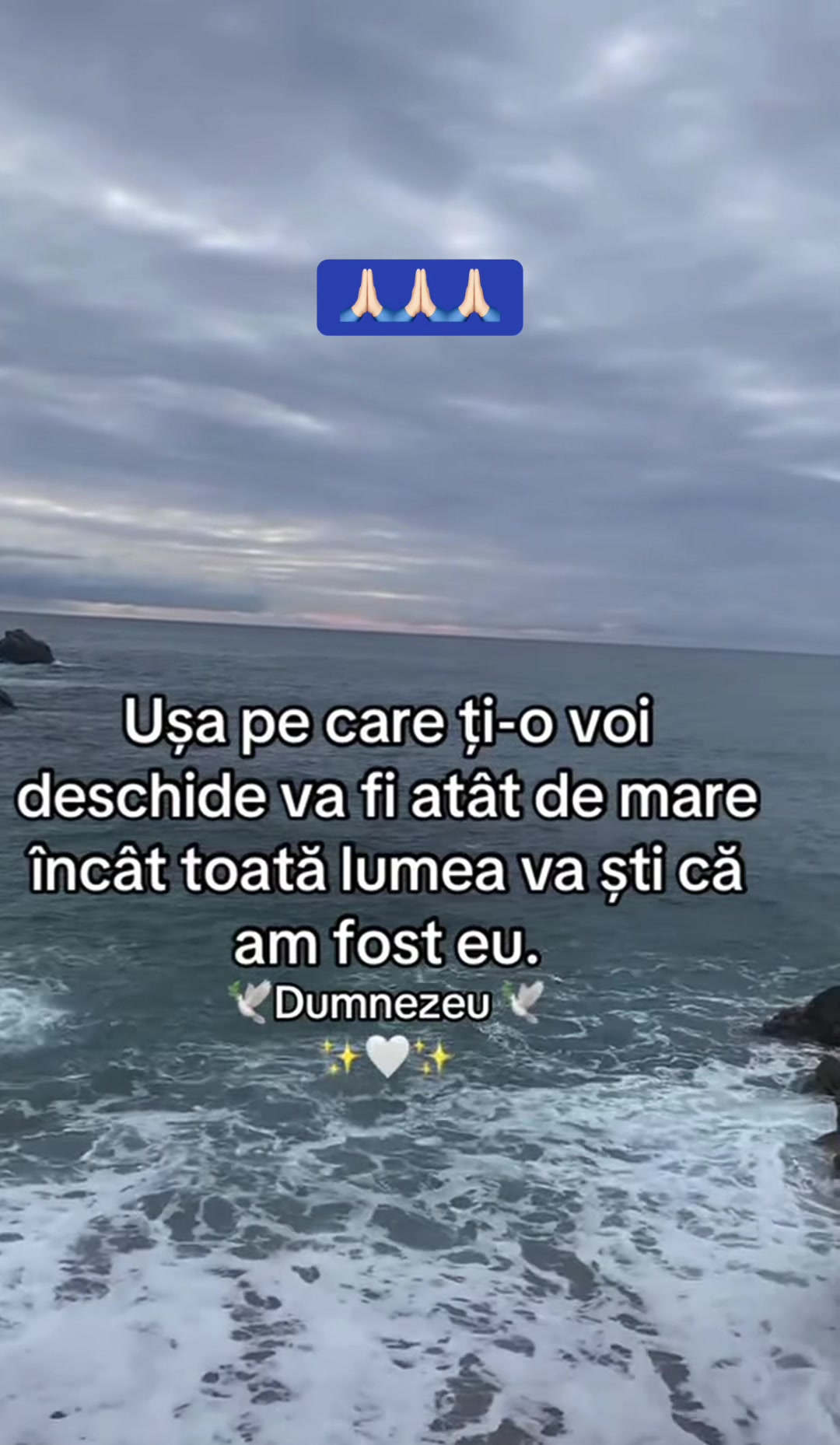 @FLORIN POP