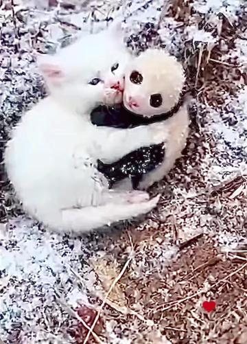 @Alina