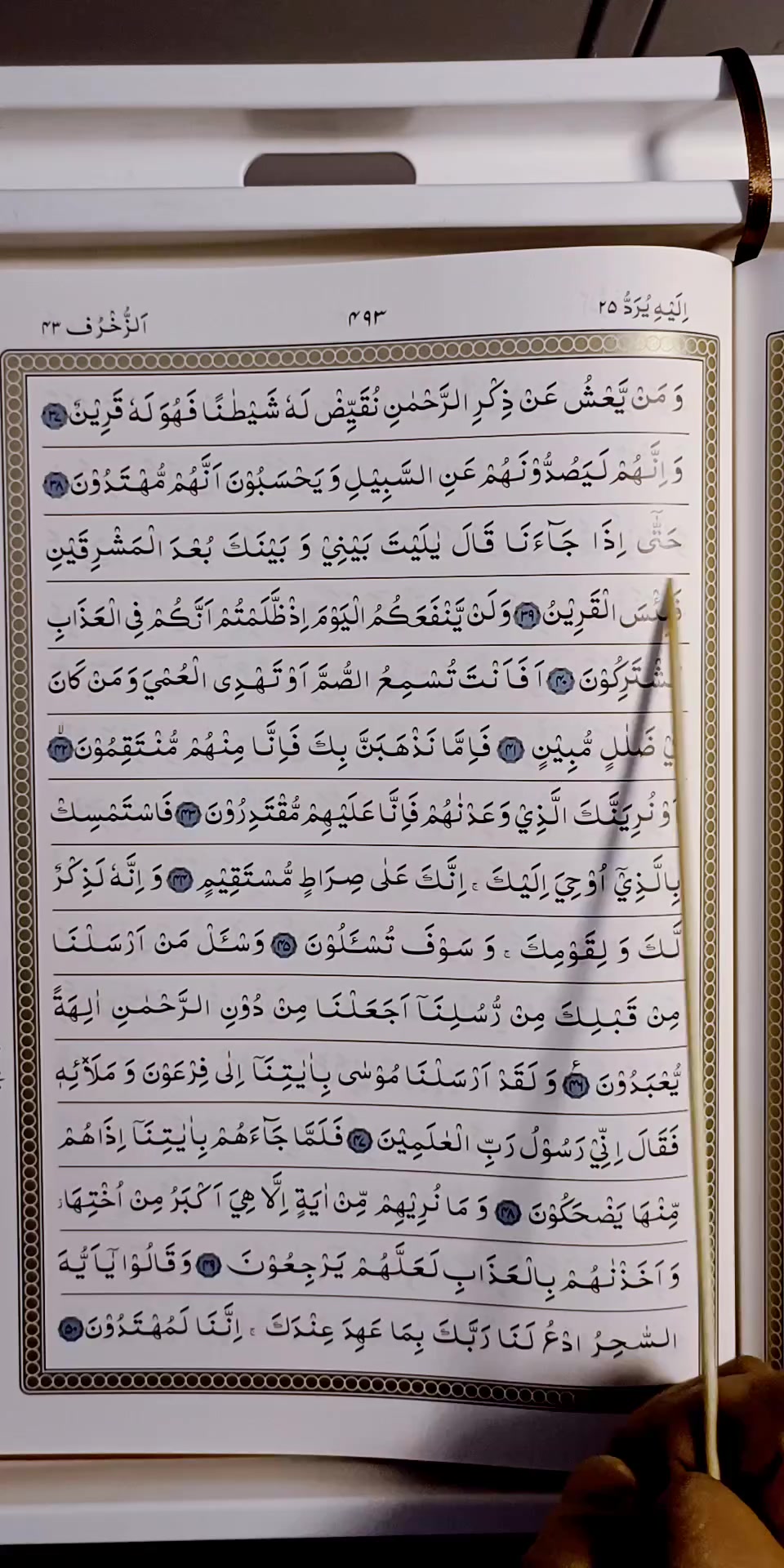 @Quran's Faizan