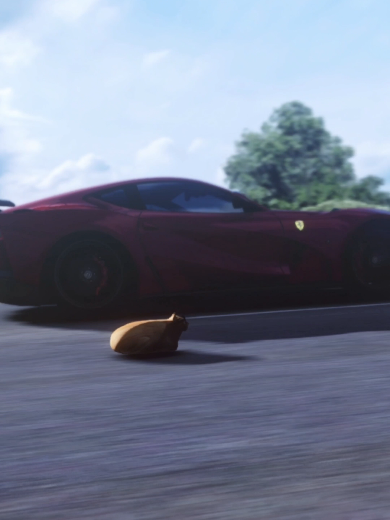 @Pablo the Race Cat