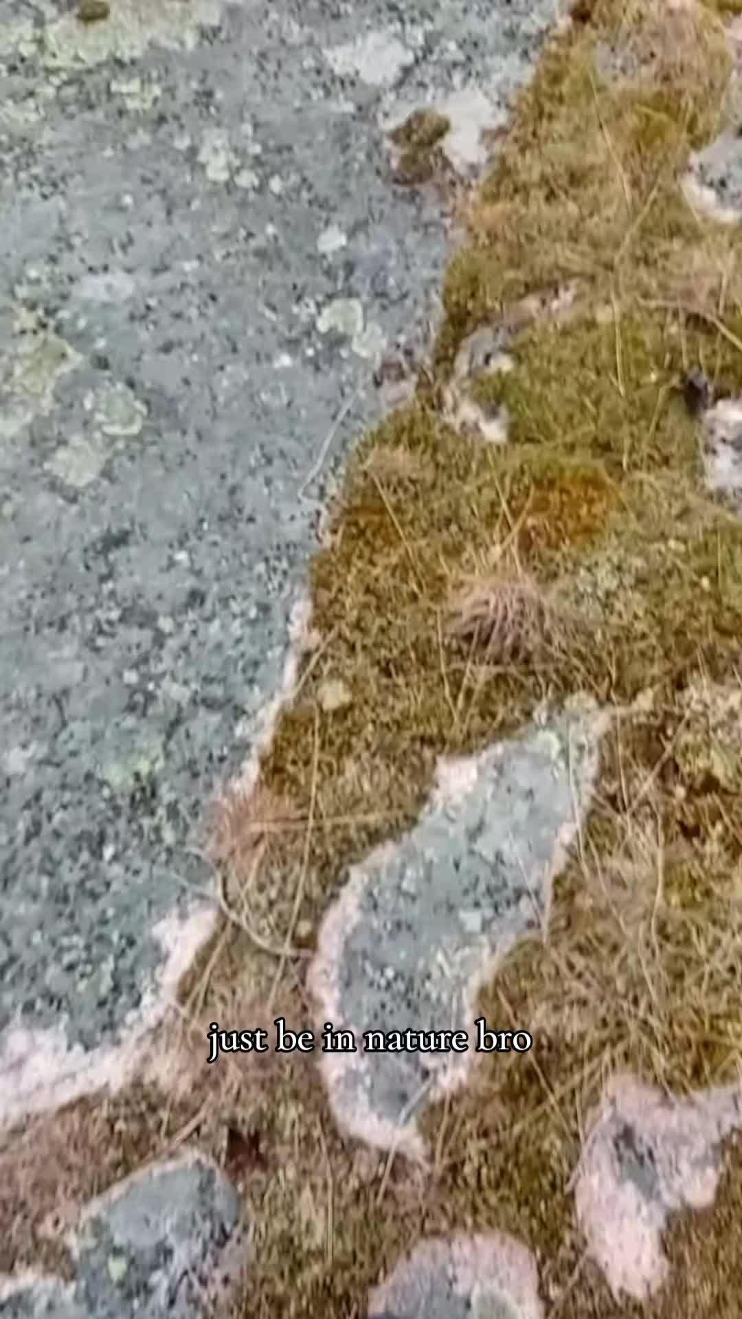 @shnadu🇫🇮