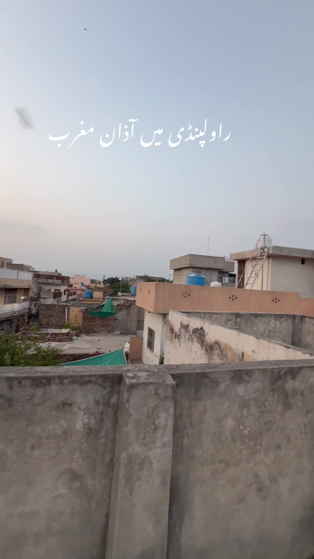 @hafeezm17