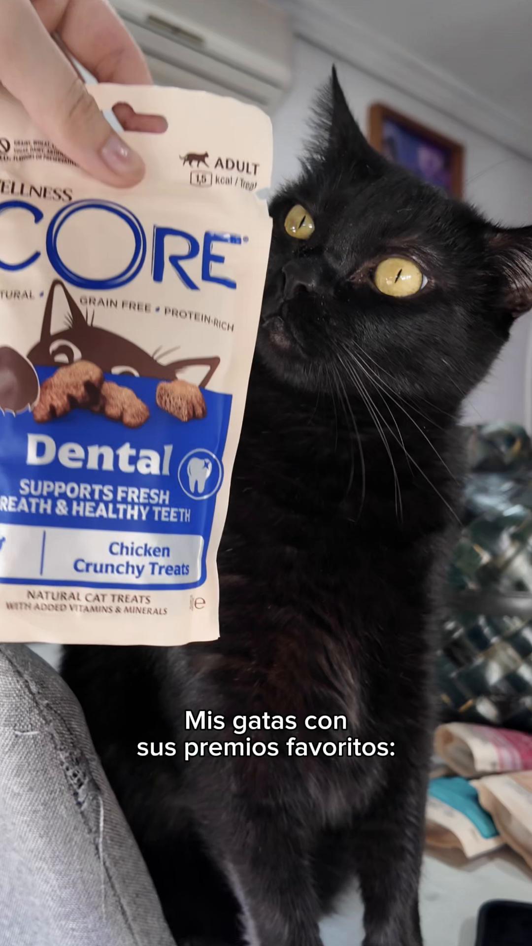 @BlackCatsMatter