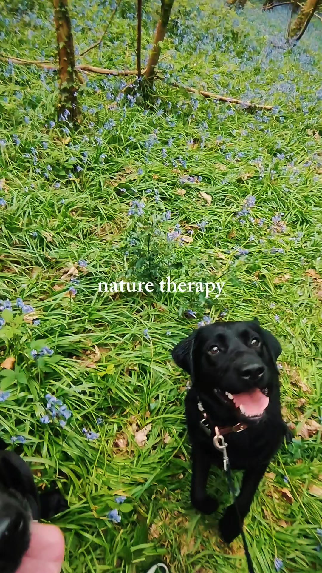 @murphy,kobie & friends