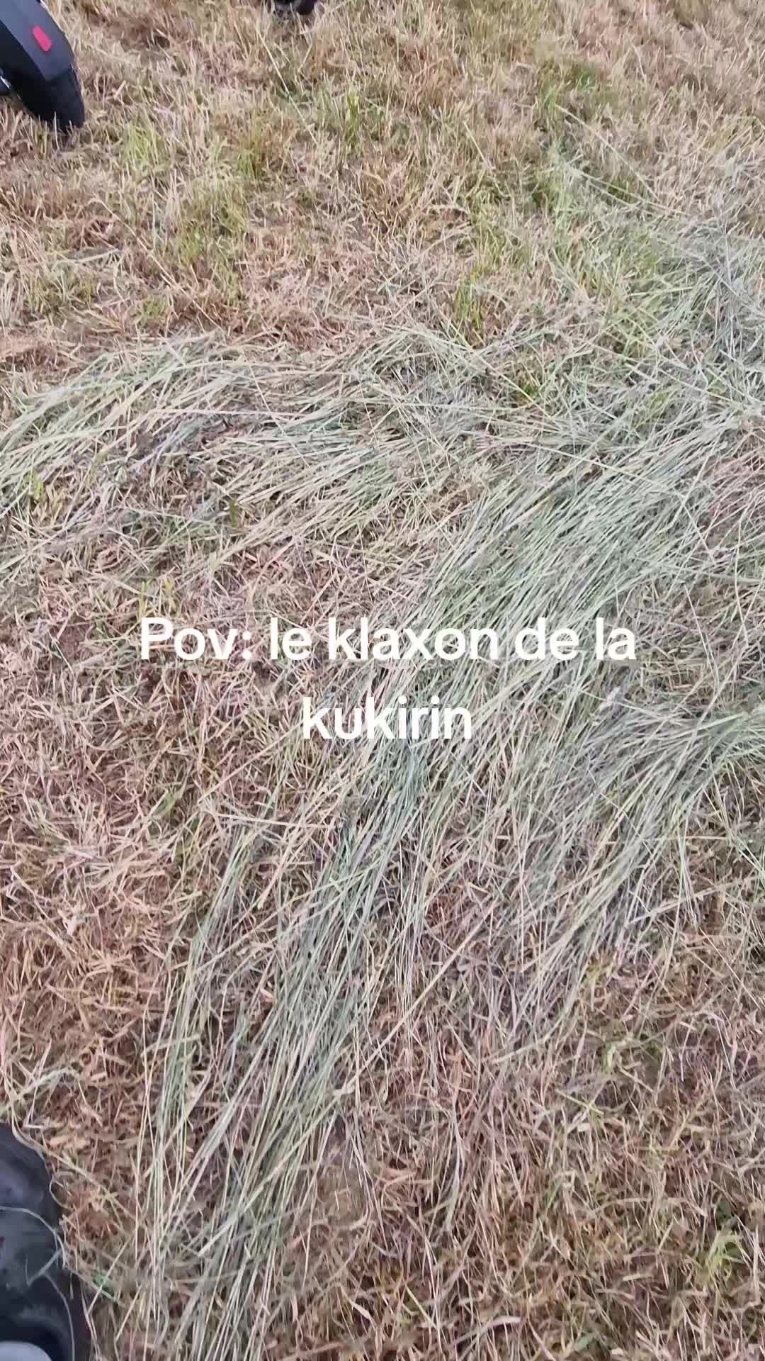 @mister_mini4