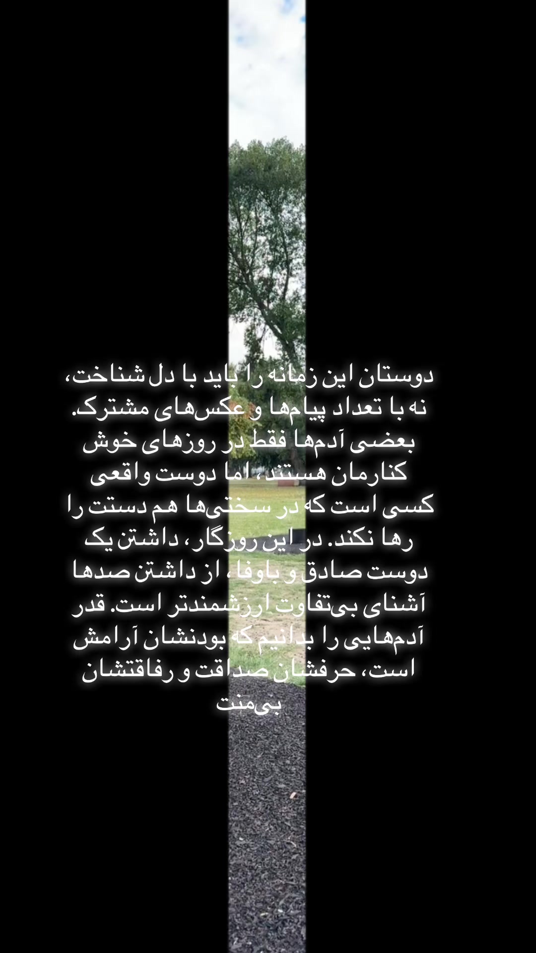 @✨✨✨ستاره سادات ✨✨✨