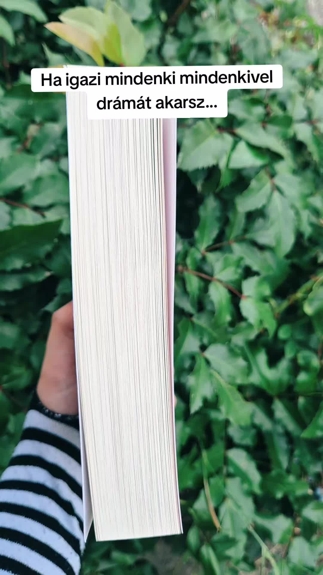 @Mezőföldi Pitypang író✍️
