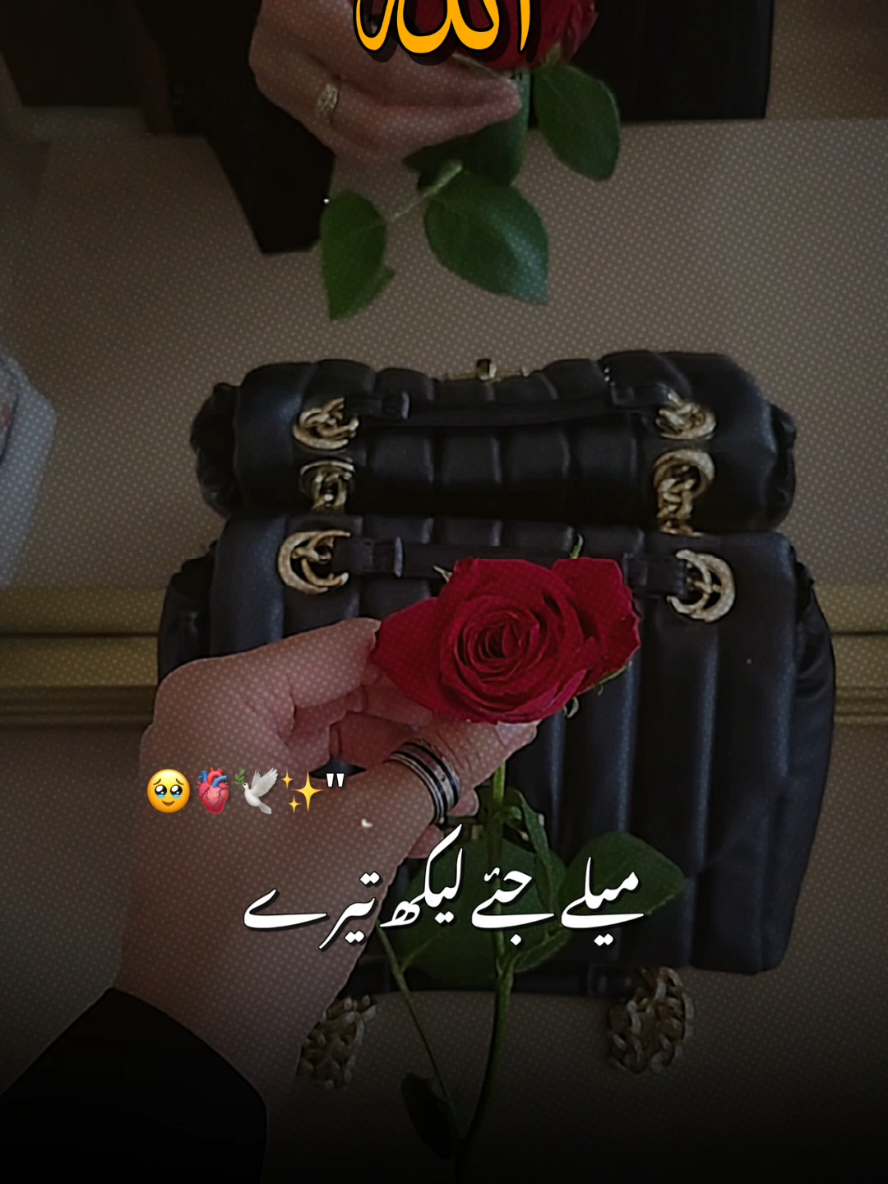 @♡Ãʟʟǟɦӄǟʏʟɛʏǟ Łօʋɛʟʏ_ʝɛ♡