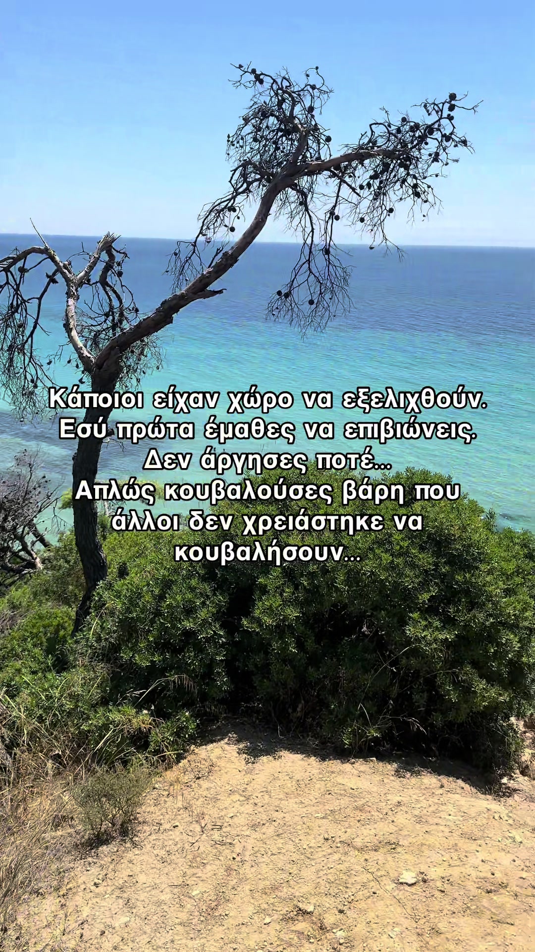 @angy_kami
