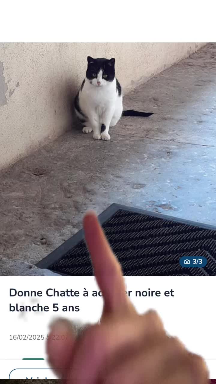 @urgence.annonce