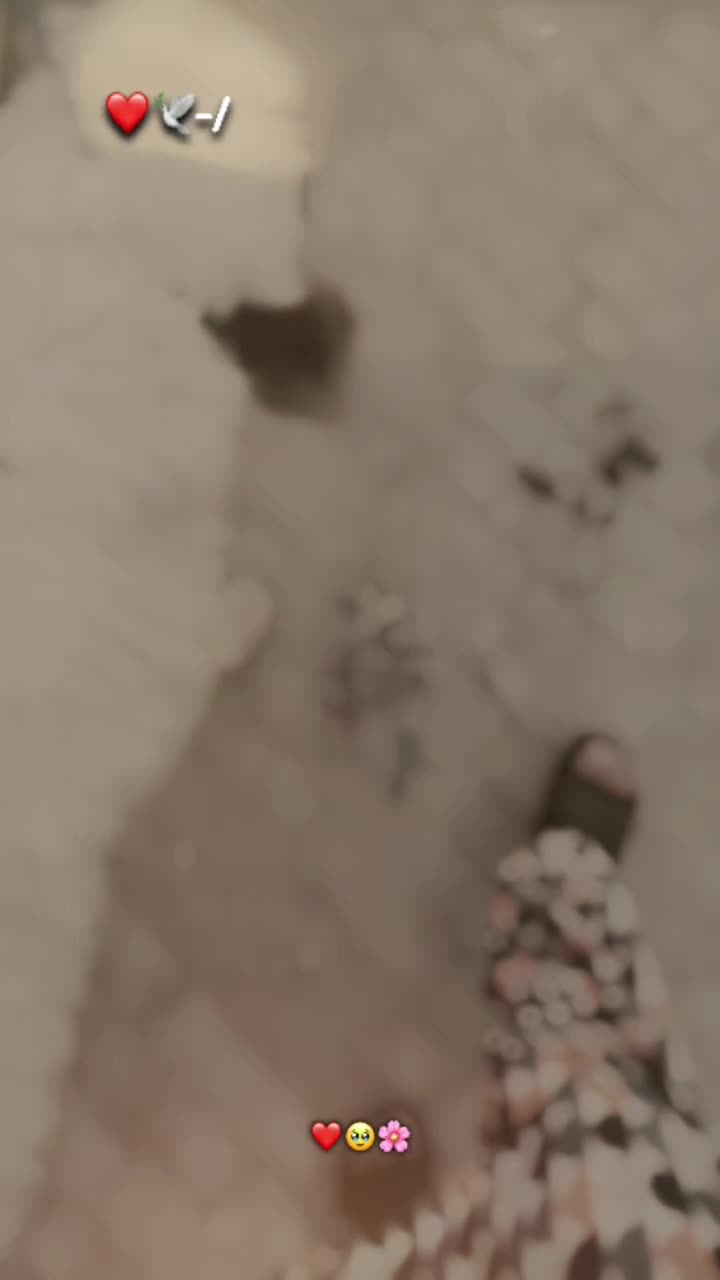 @𝐢𝐭'𝐱 𝐦𝐚𝐧𝐨 𝐦𝐚𝐥𝐢𝐤