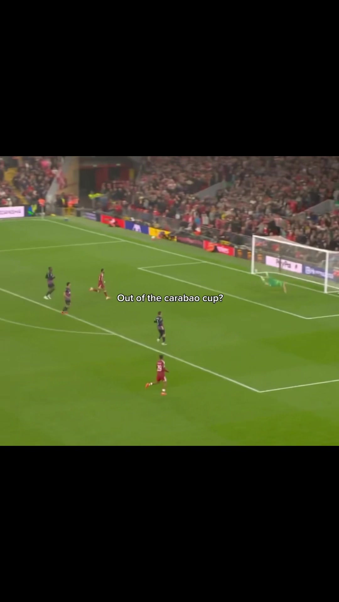 @thfc.teddy