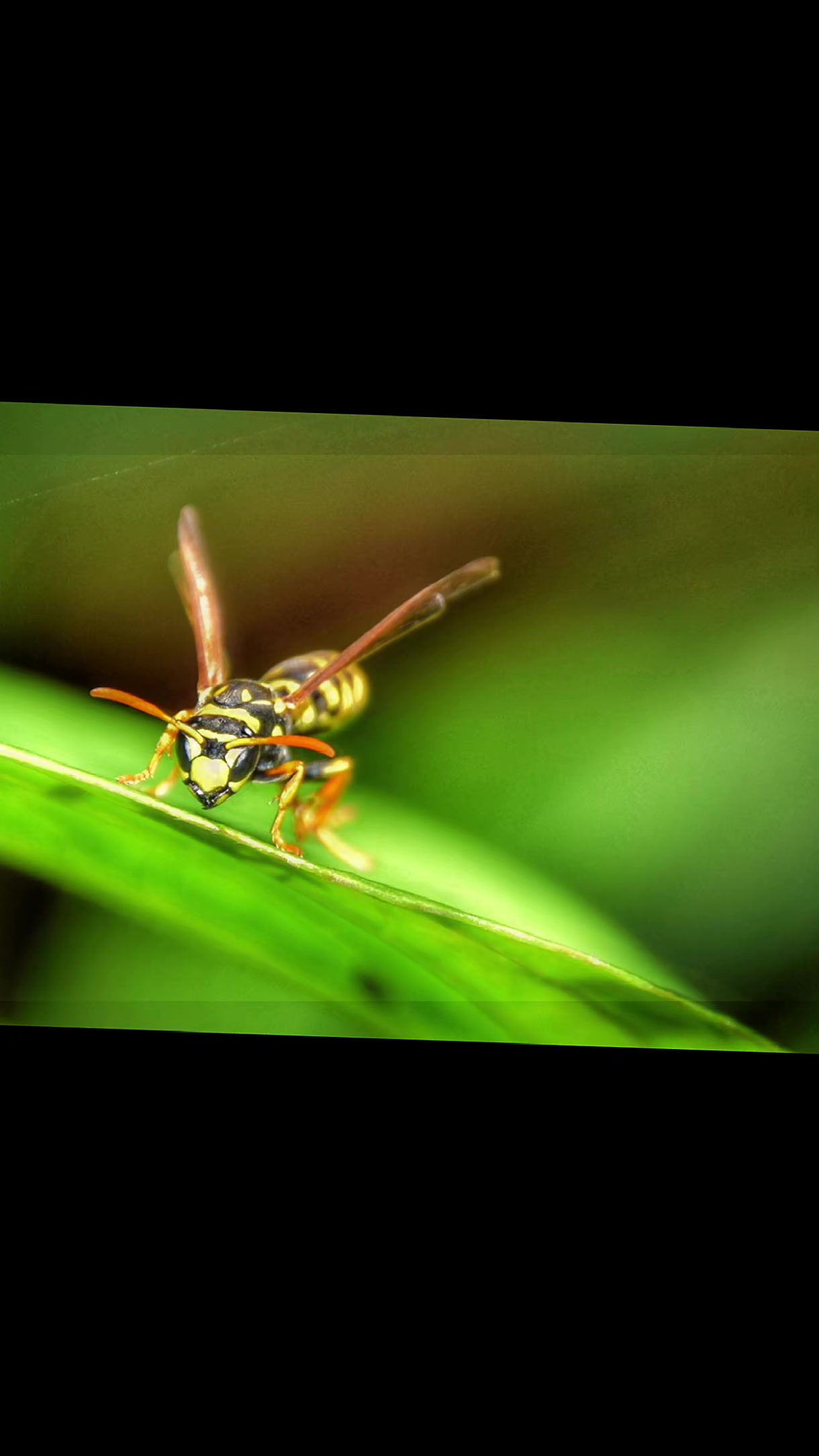 @havr-photo.picfair.com