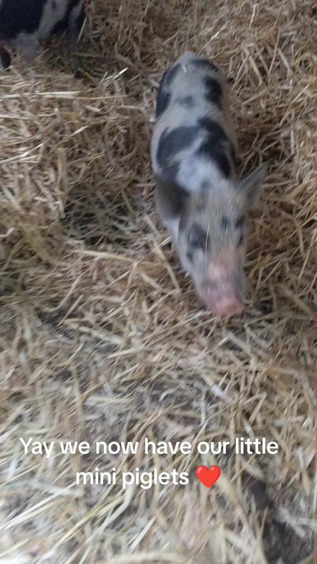 @farmgirl
