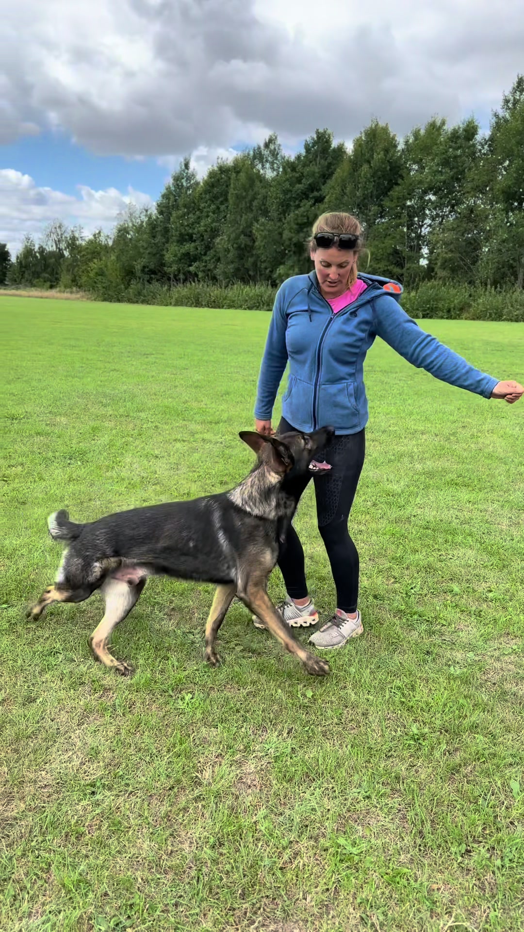 @Vonbekkas GSD