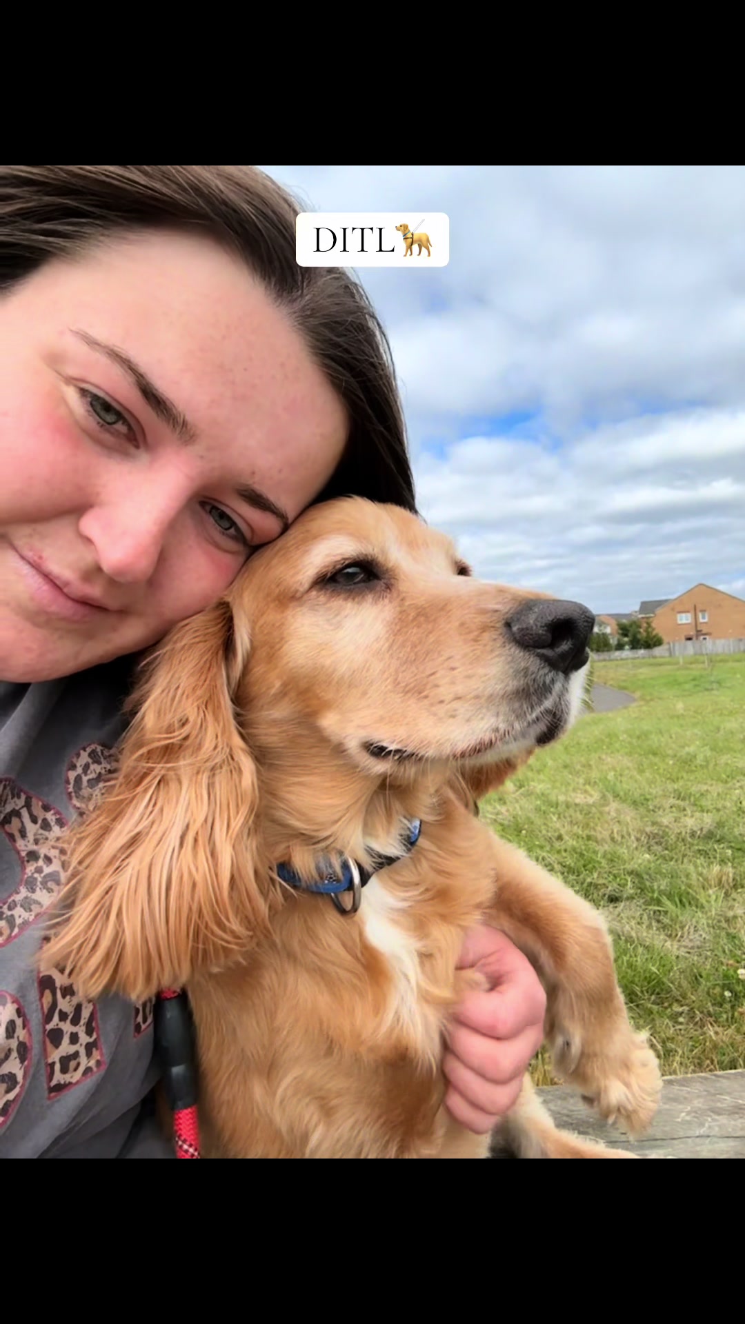 @Robyn’s Dog Walking Services