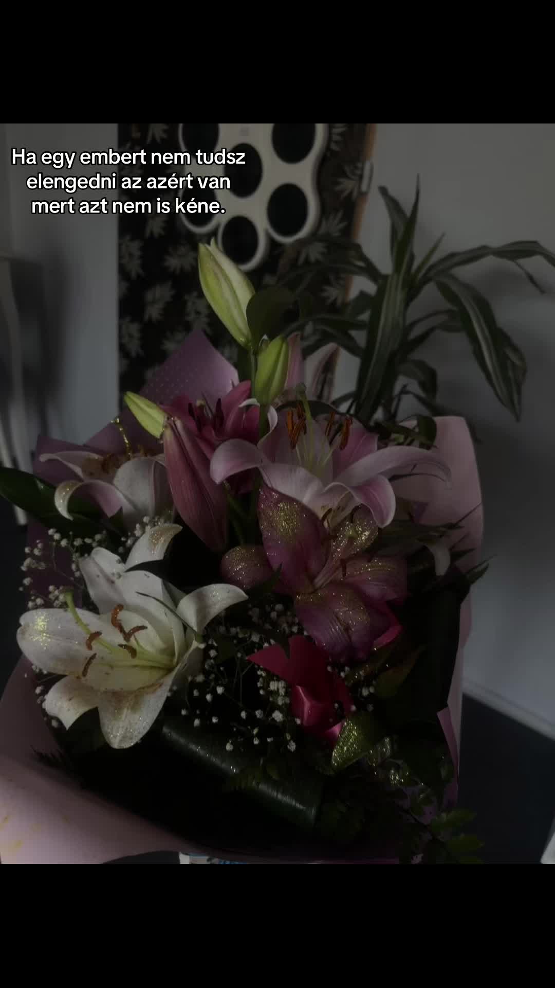 @•𝓞𝓻𝓼𝓲•