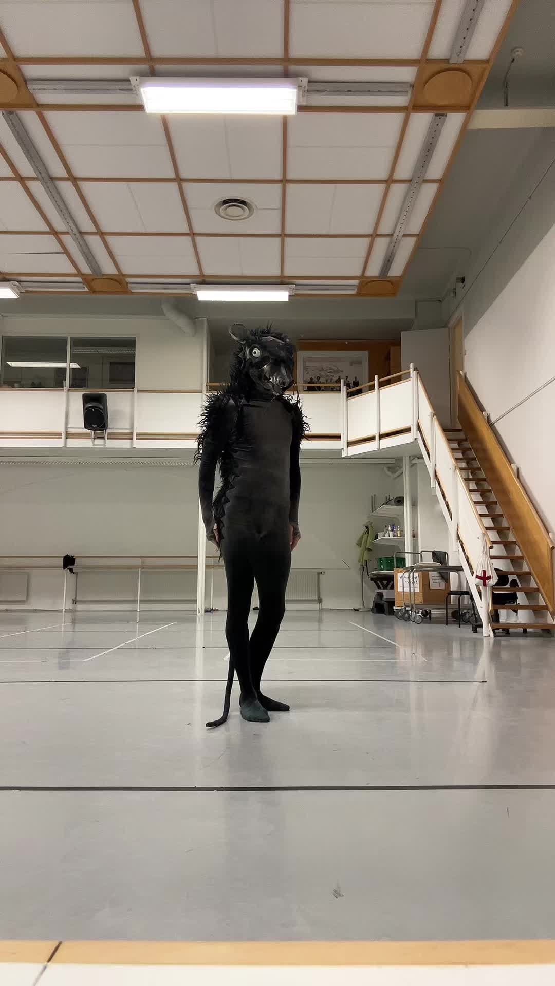 @mr_rat_official_