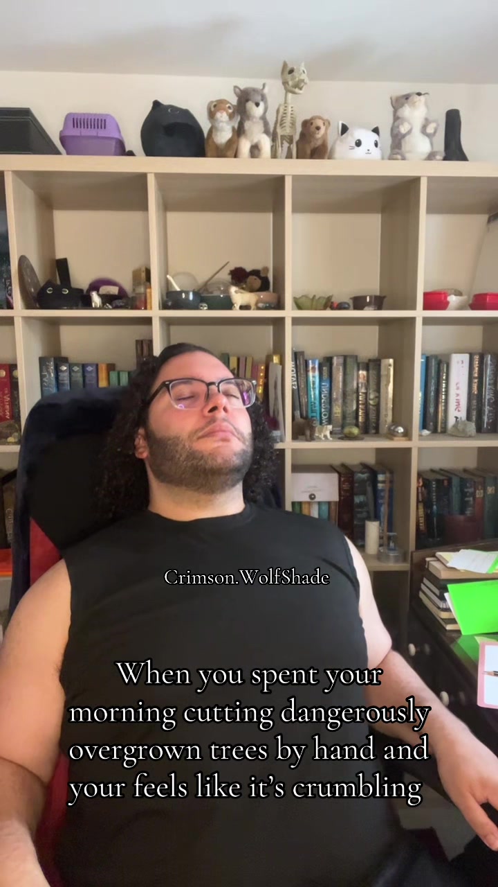 @Crimson.WolfShade🇪🇸