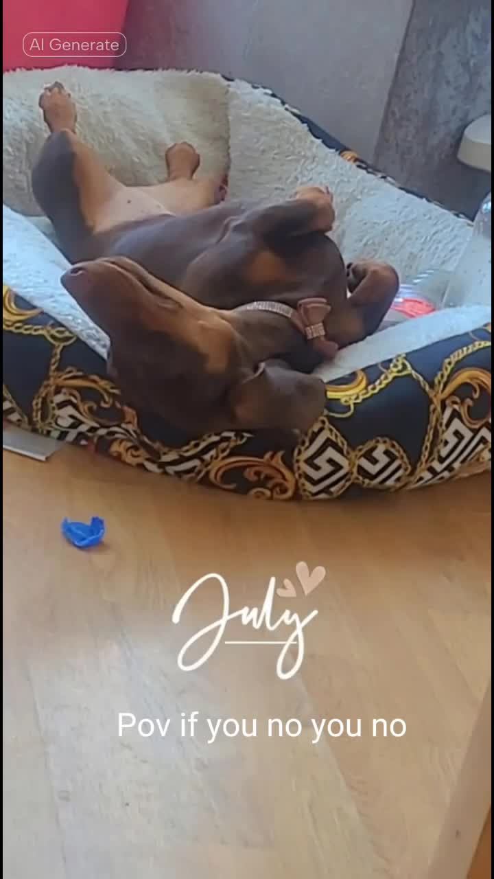 @Fur baby&rsquo;s