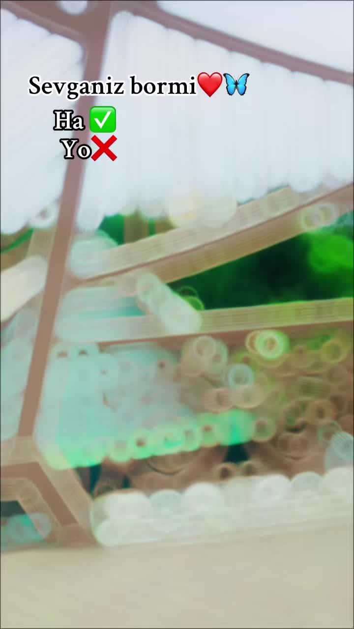 @꧁𝐈𝐒𝐋𝐎𝐌_06꧂
