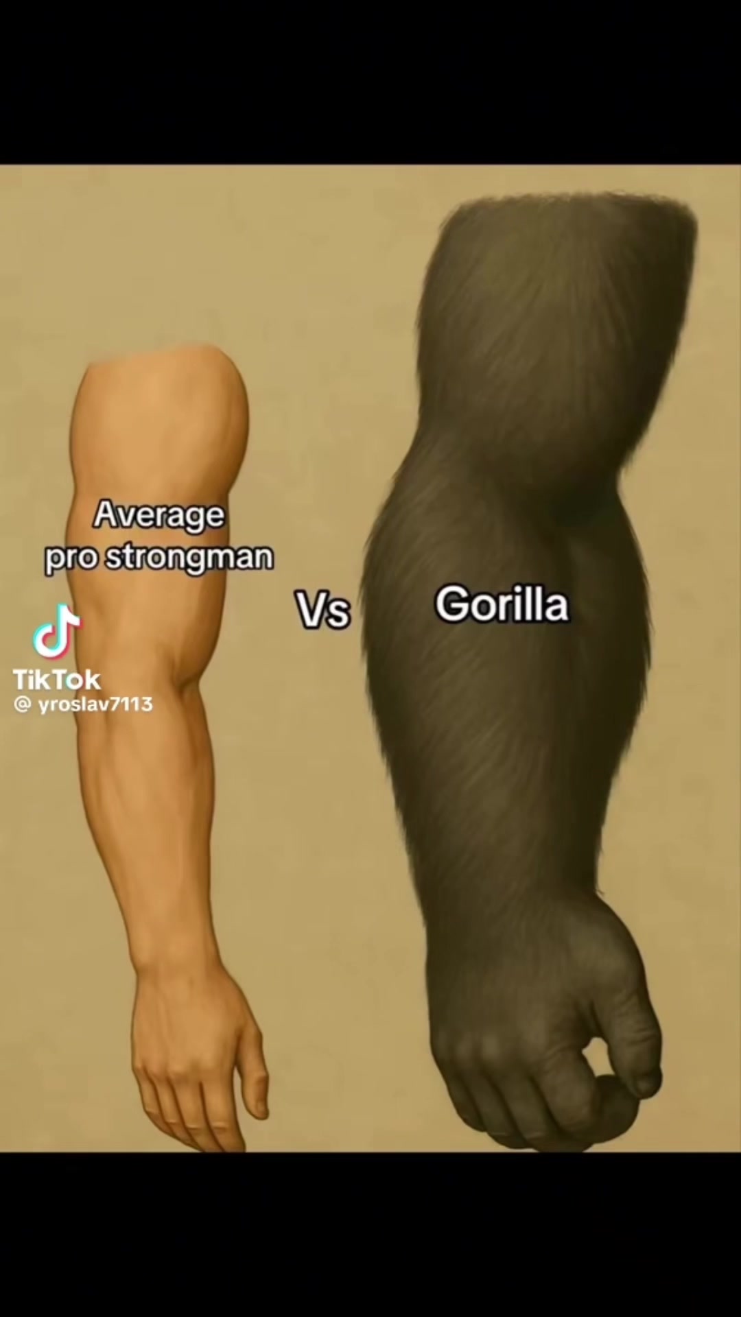 @Reza_silverback