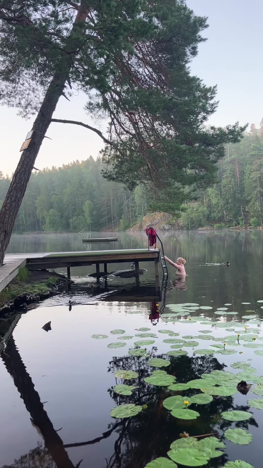 @swedishforestgirl