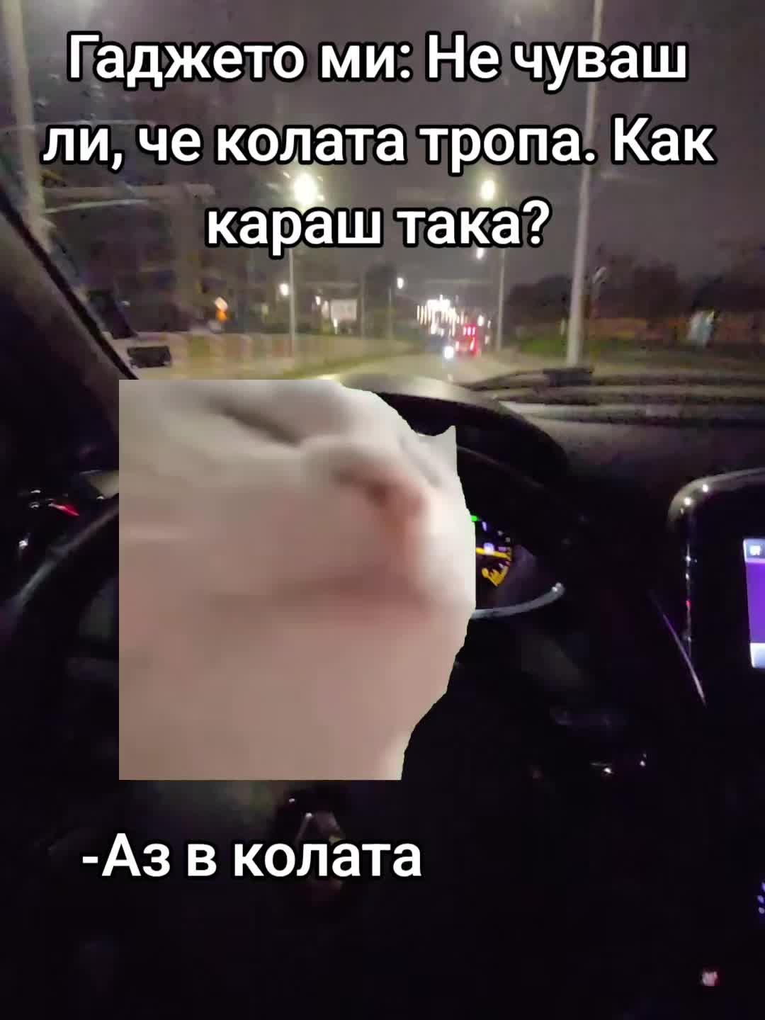 @V.hristova.03