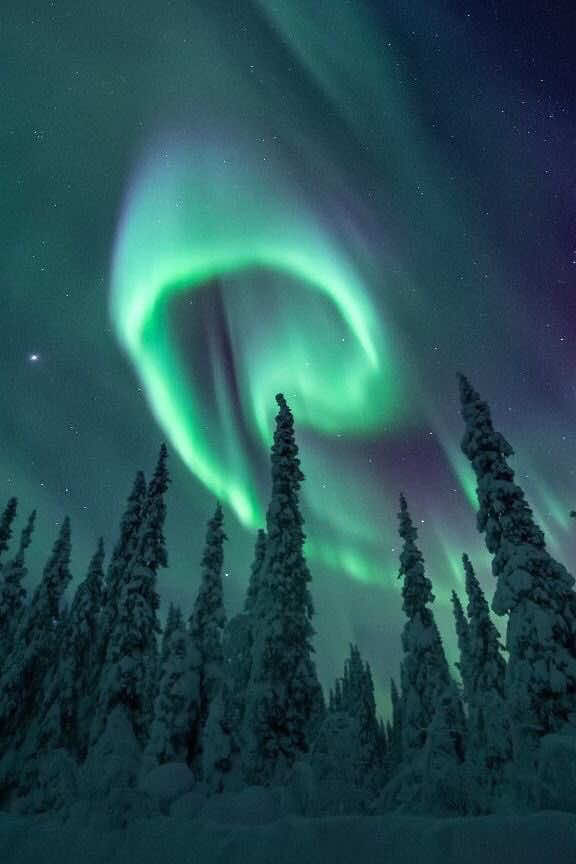 @freyja 𝜗ৎ