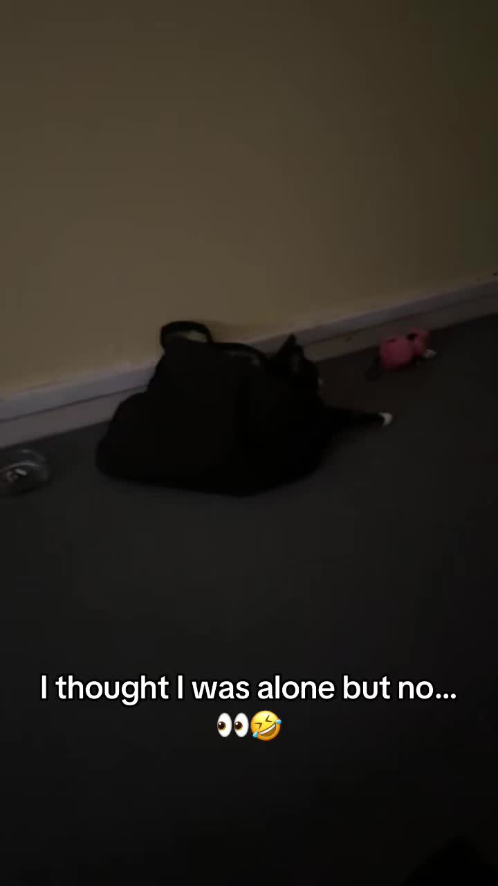 @Paigeyy