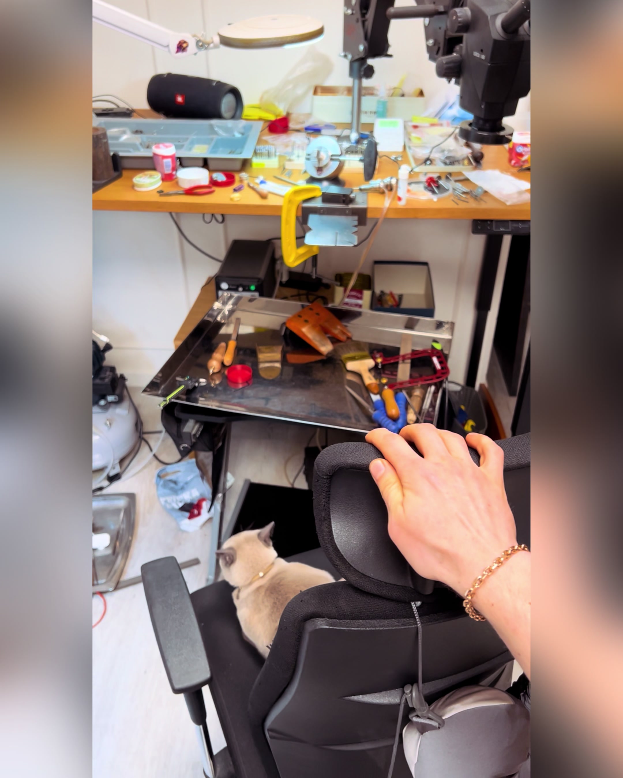 @arnostudio
