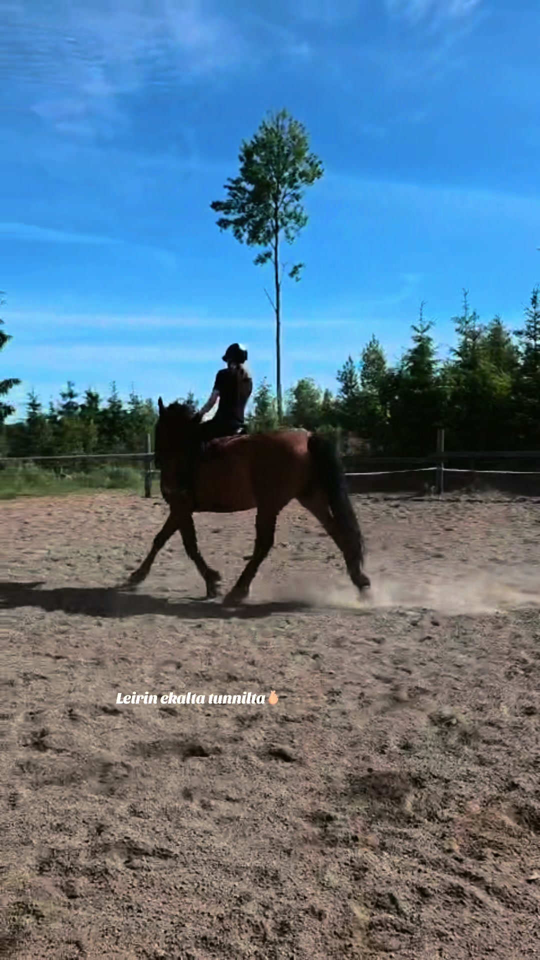@Ponirannan talli🇫🇮🐎