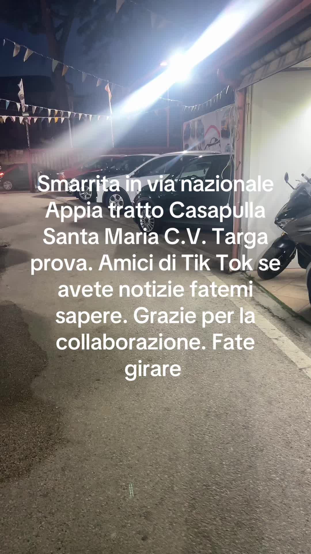 @gaetano8100