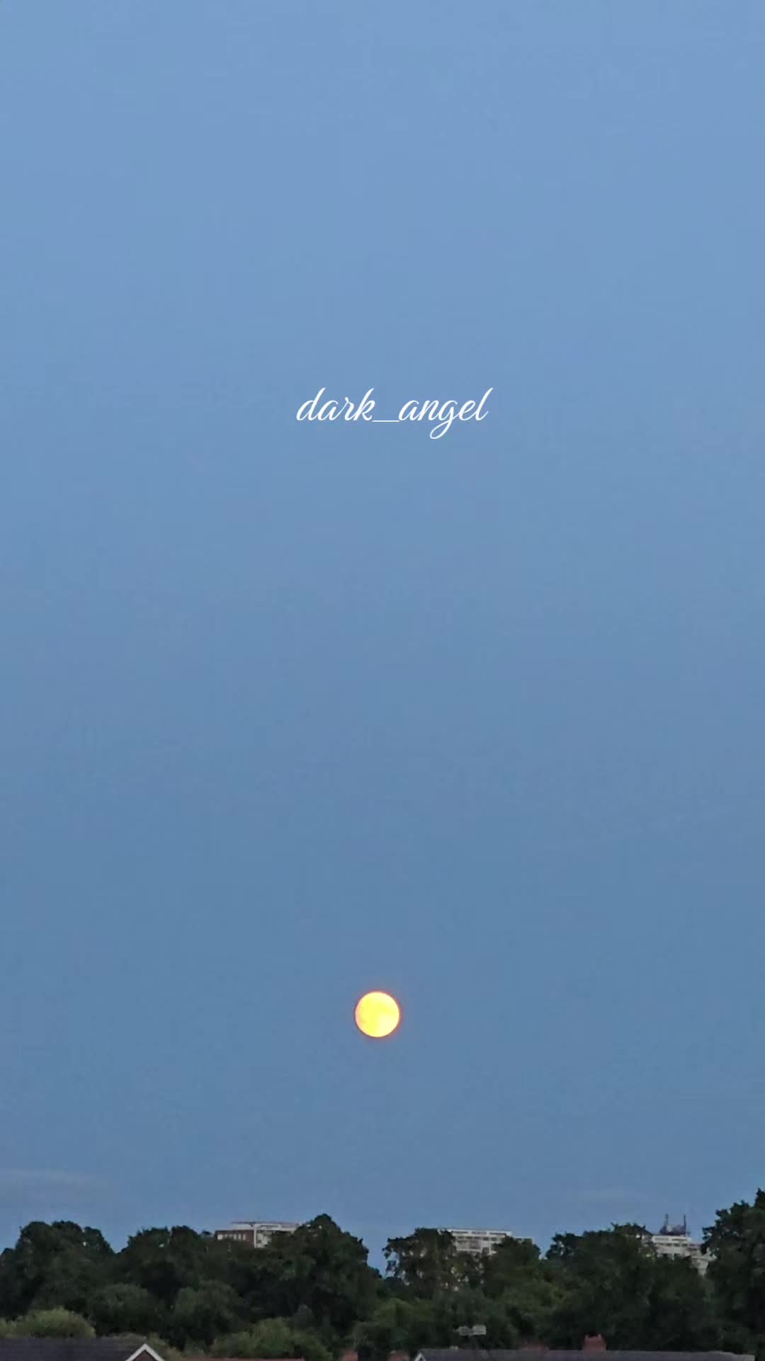 @Dark Angel