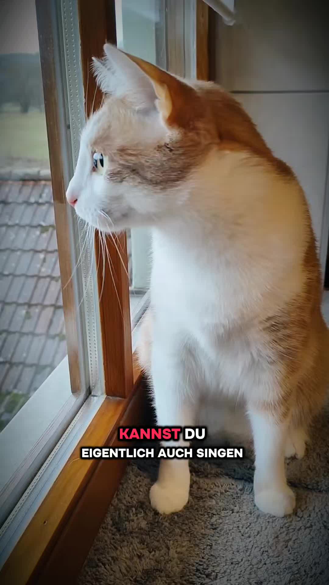 @😻нⷩeͤjdͩiͥneͤ😻