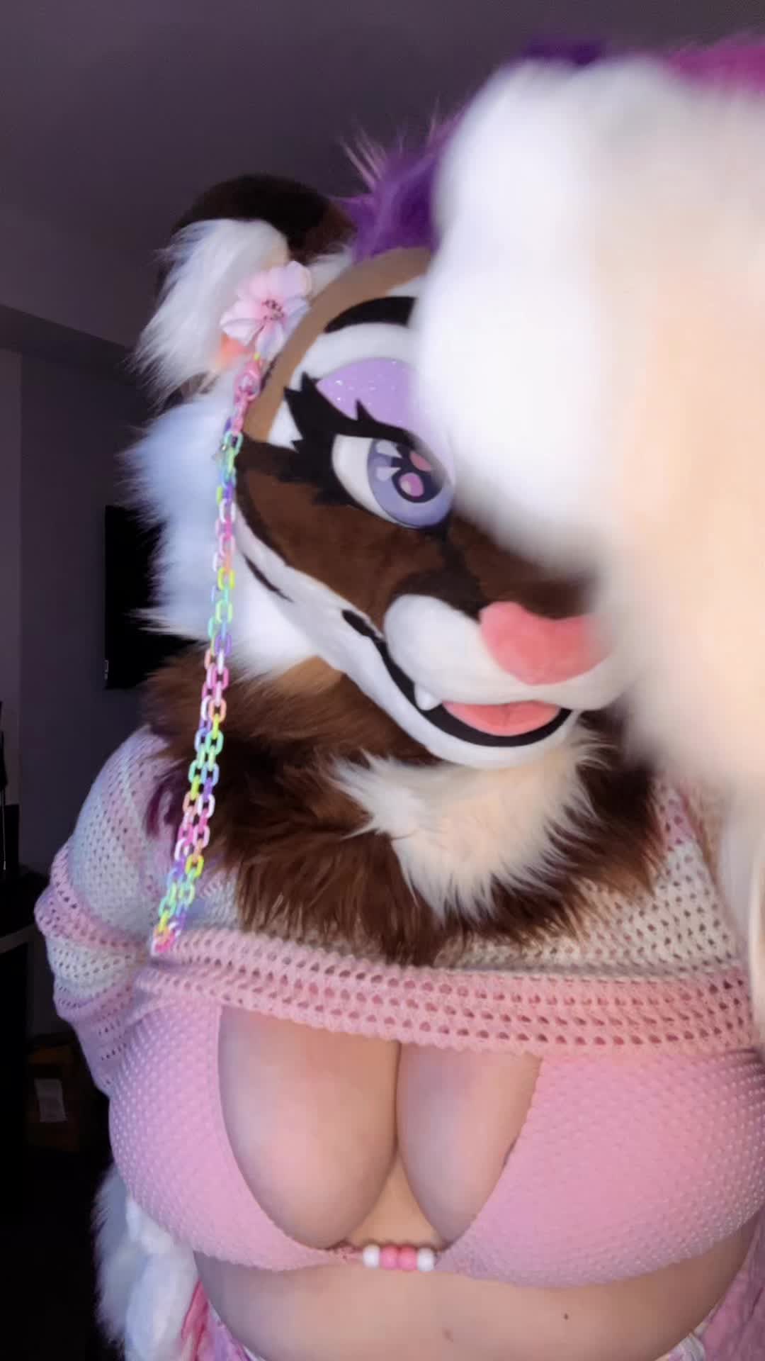 @🤍🎀 𝓐𝓷𝓰𝓮𝓵 🎀🤍CFZ2026