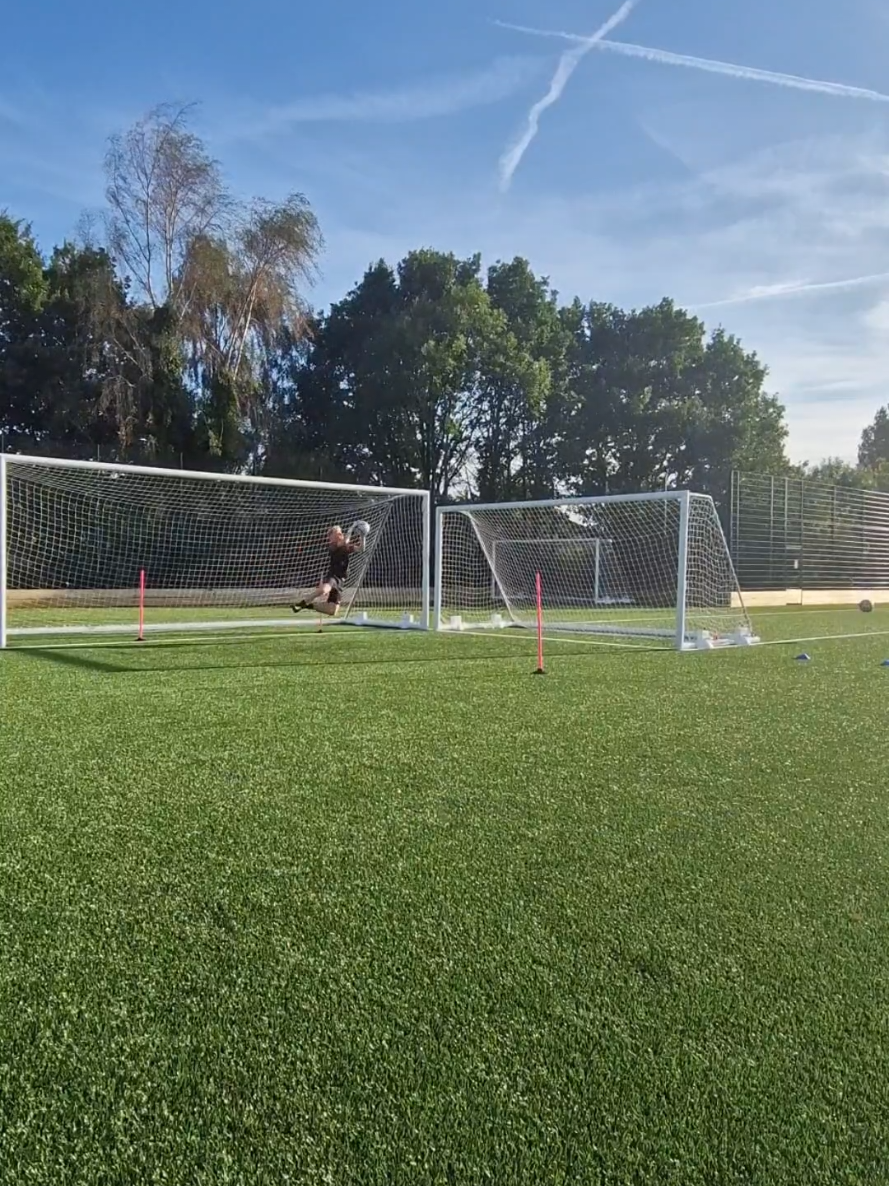 @hodge_gk