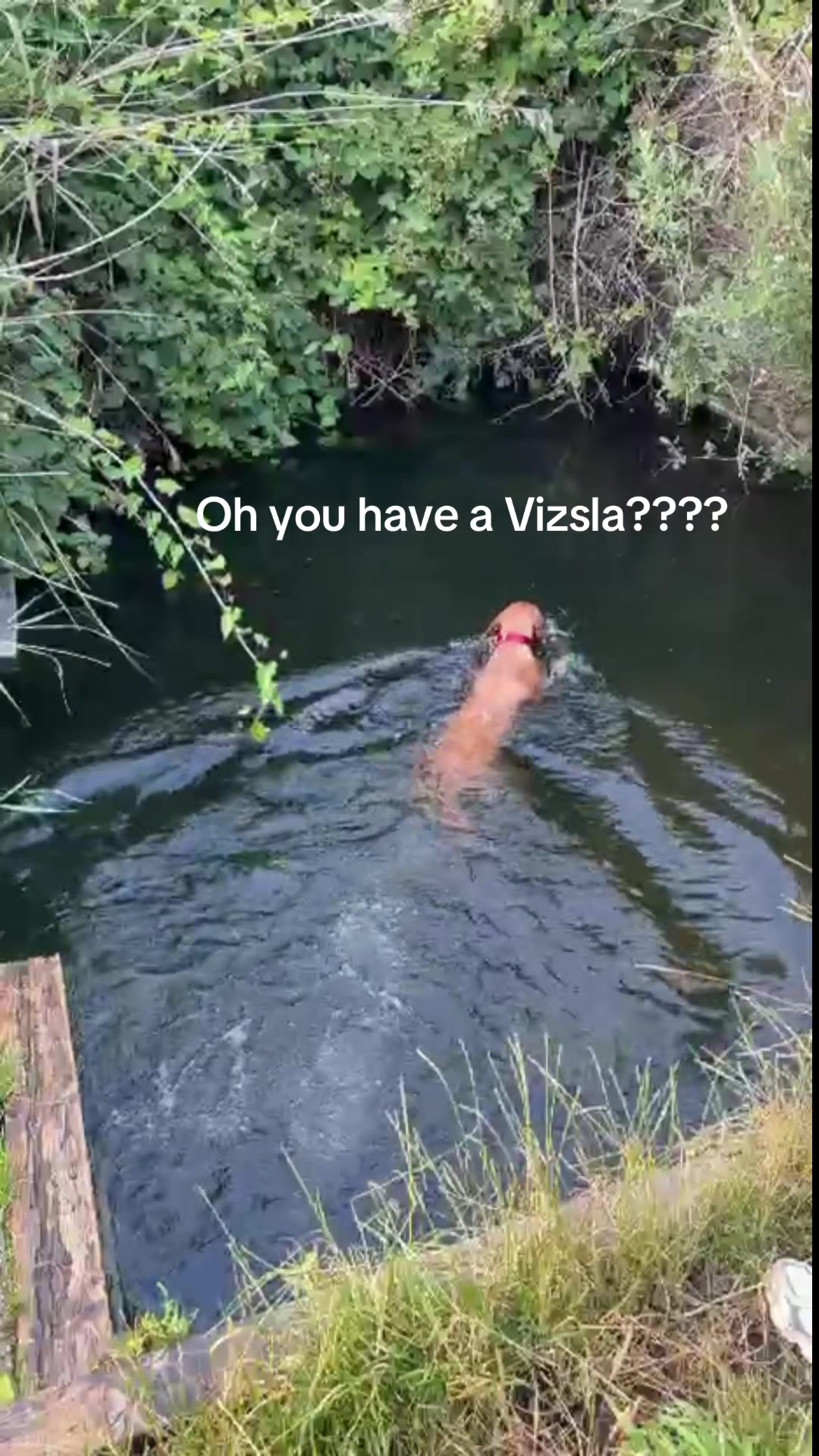 @LittleMissIndie