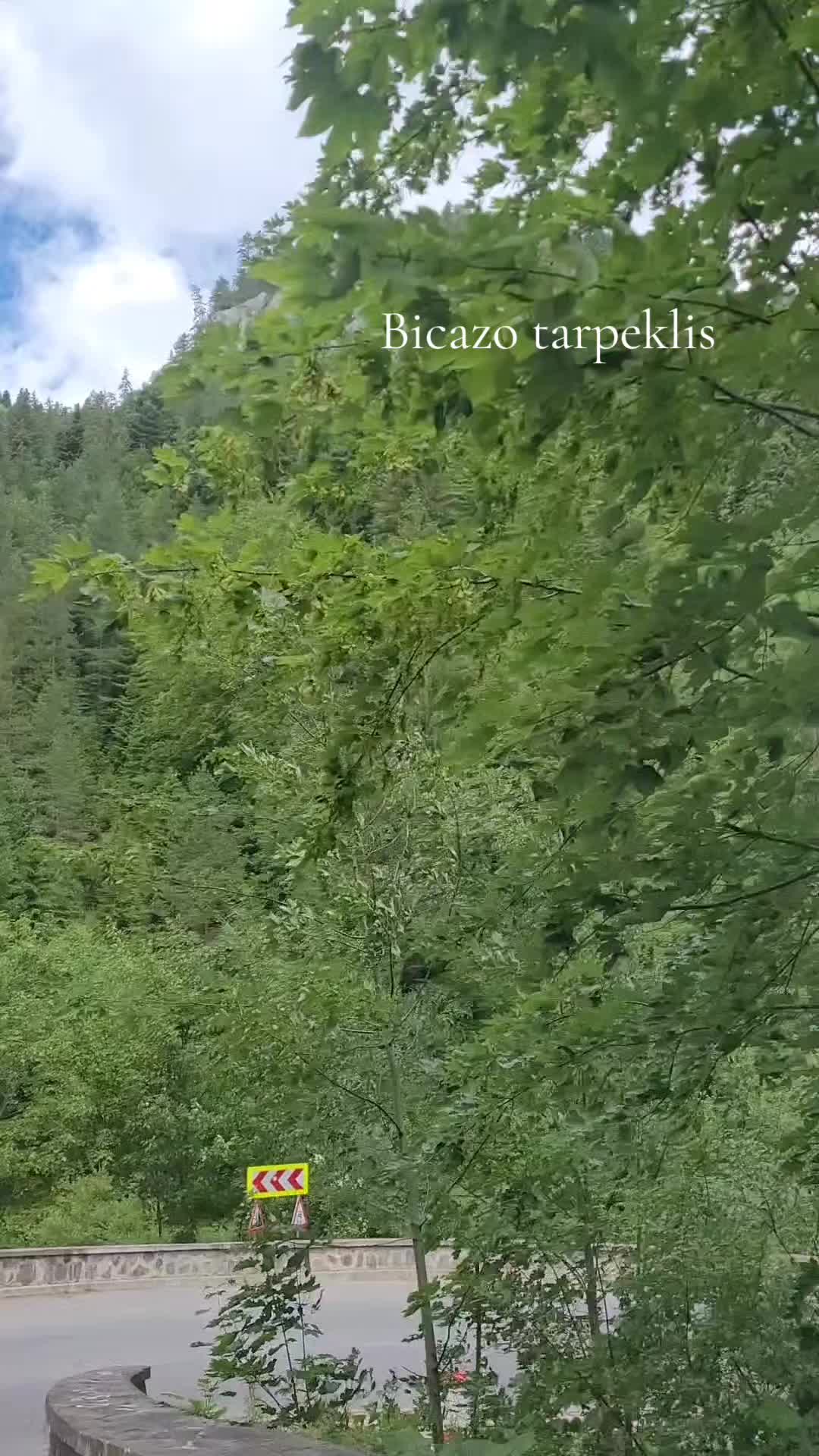 @Daiva Žygienė