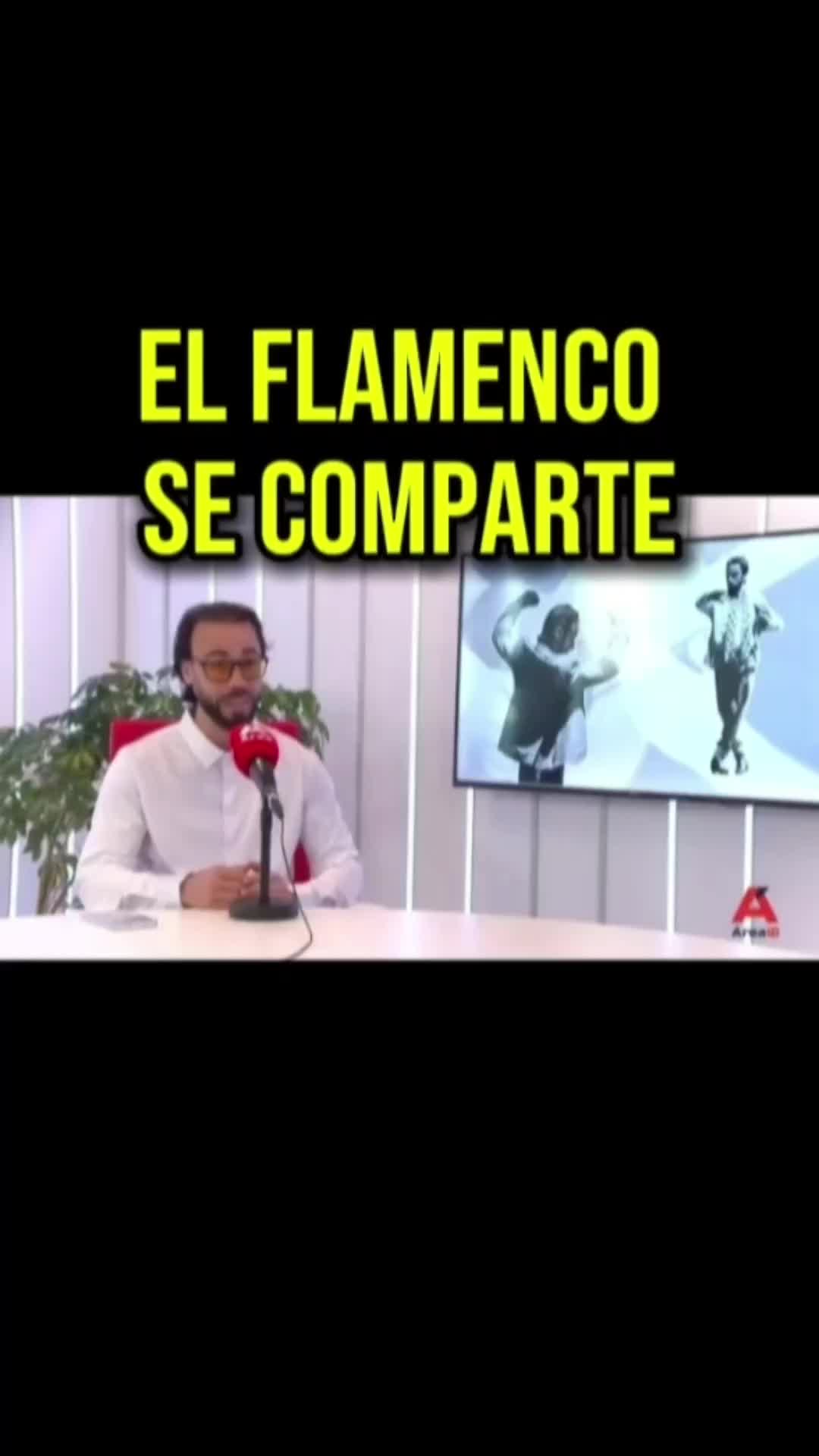@Mario de los Santos Flamenco