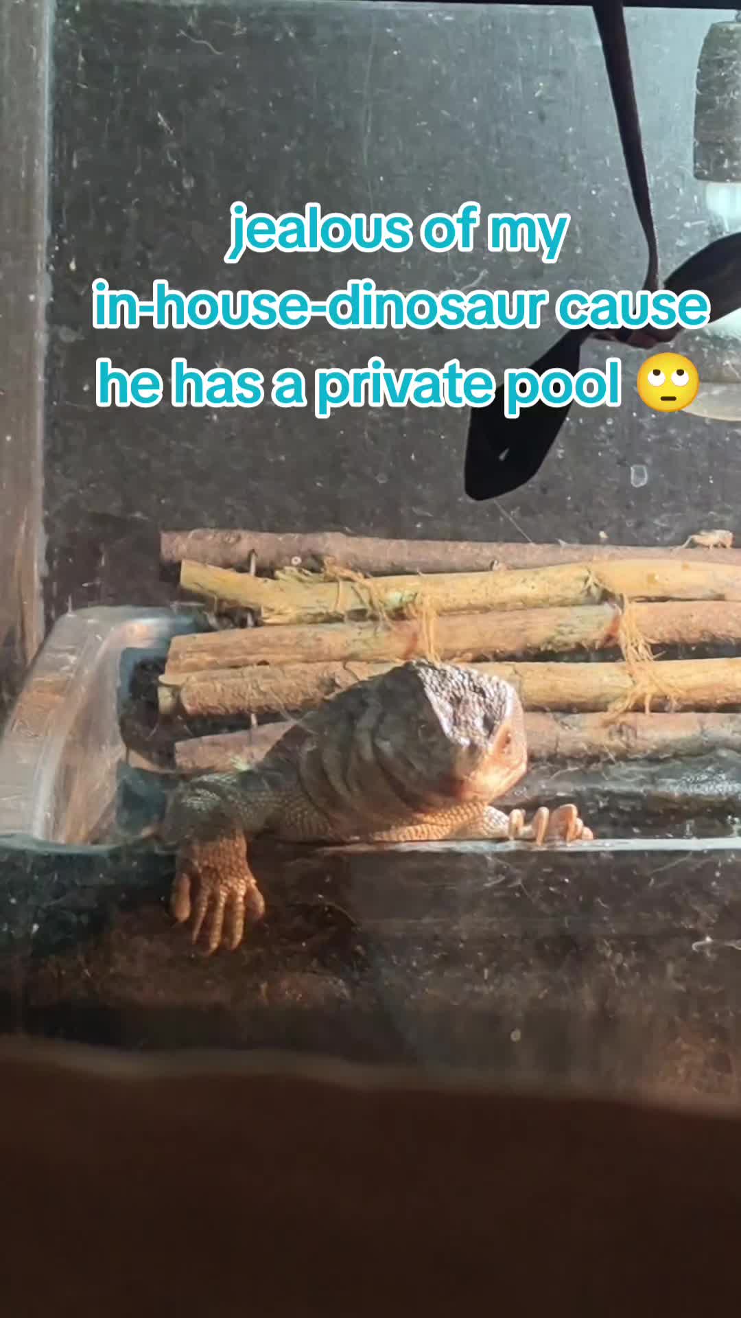 @Bestiesbeasties
