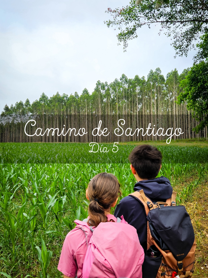 @Objetivo Camper