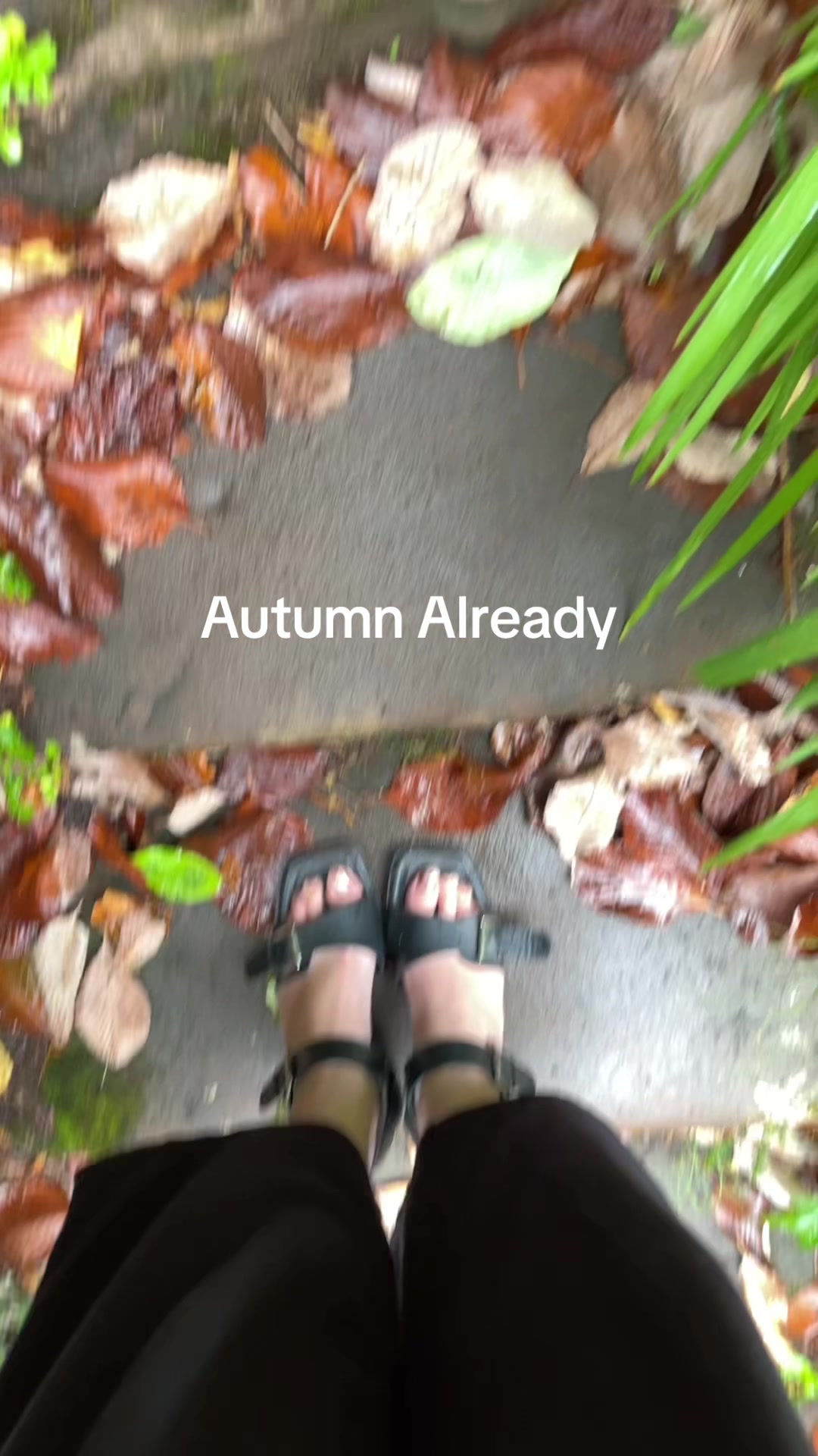 @catherinestiktok