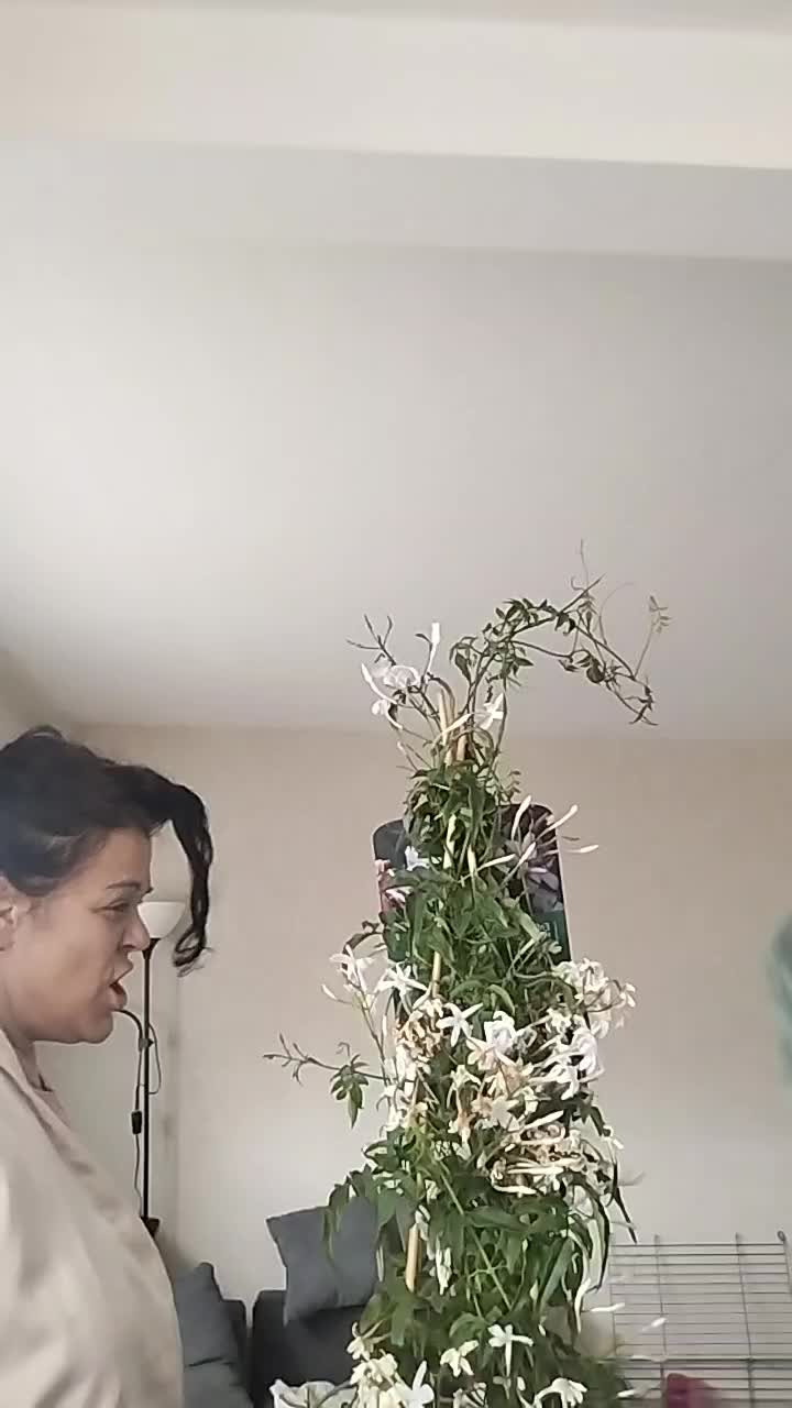 @Corilys 63