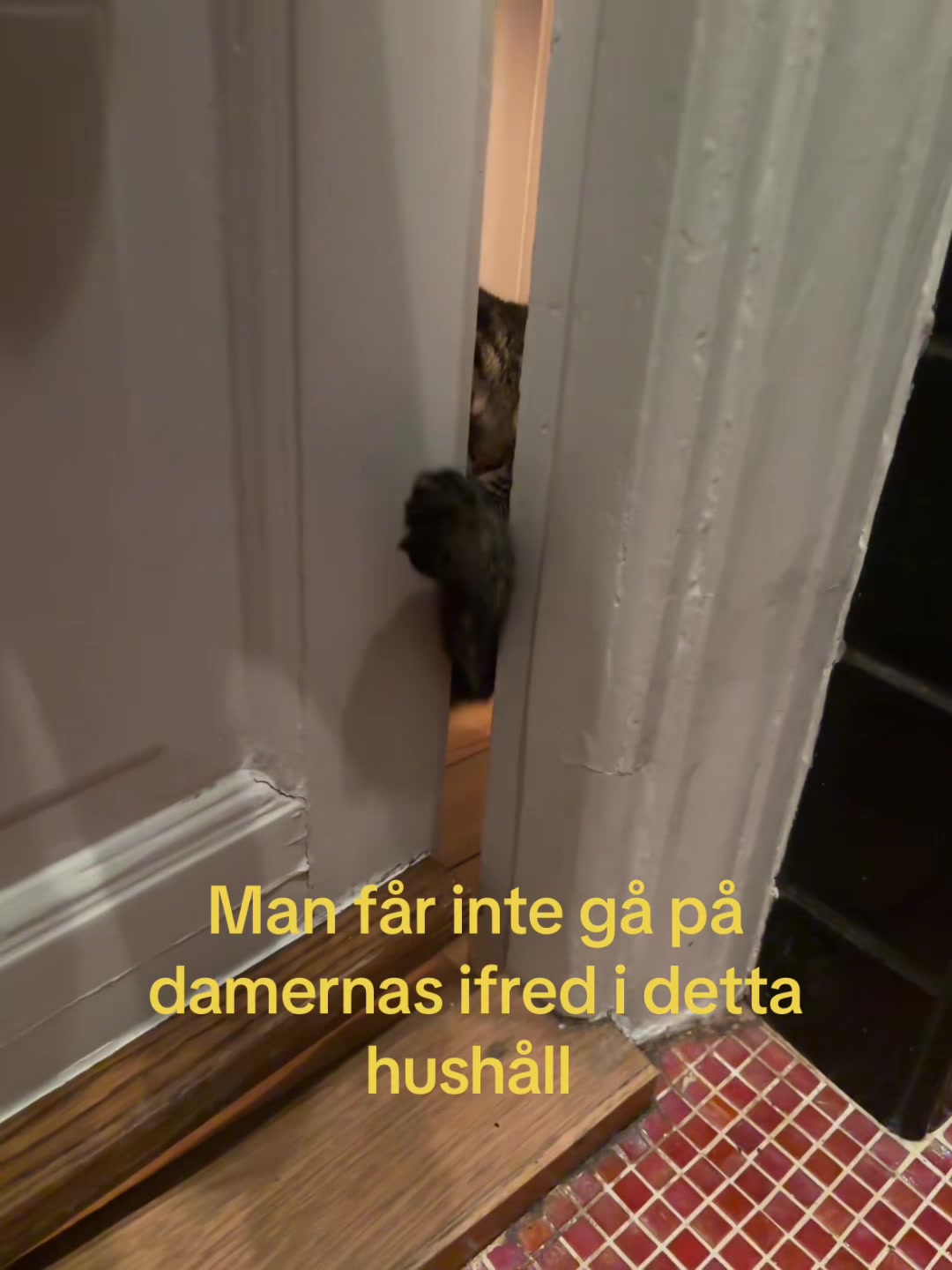 @Tilda Boisen